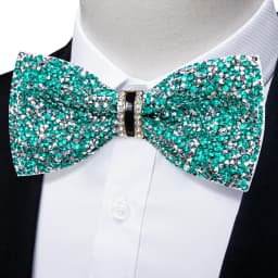 Shinny Rhinestone Diamond Bow Tie Pre-tied Bowknot for Wedding Prom Tuxedo Suits Black Red Green Butterfly Gift for Men