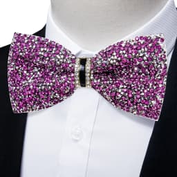 Shinny Rhinestone Diamond Bow Tie Pre-tied Bowknot for Wedding Prom Tuxedo Suits Black Red Green Butterfly Gift for Men