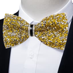 Shinny Rhinestone Diamond Bow Tie Pre-tied Bowknot for Wedding Prom Tuxedo Suits Black Red Green Butterfly Gift for Men