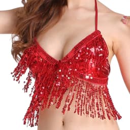 Belly Dance Sequin Fringe Top Nightclub Performance Halter Bra Dance Wear