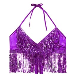 Belly Dance Sequin Fringe Top Nightclub Performance Halter Bra Dance Wear