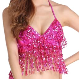 Belly Dance Sequin Fringe Top Nightclub Performance Halter Bra Dance Wear