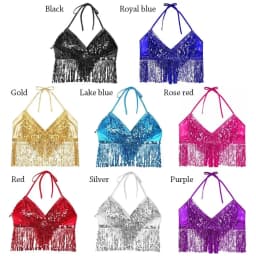 Belly Dance Sequin Fringe Top Nightclub Performance Halter Bra Dance Wear