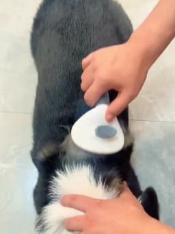 Pet Dog Brush Cat Comb Self Cleaning Pet Hair Remover Brush For Dogs Cats Grooming Tools Pets Dematting Comb Dogs Accessories