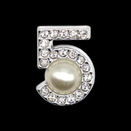 1PCS Acrylic Shoe Charms Fashion Jewelry Shoe Buckle Sandal Pins Accessories Women Men New Shoe Decoration Wristband Tote Bag