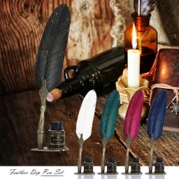 1 Set Retro Classic Texture Practical Calligraphy Feather Dip Pen Quill Fountain Writing Portable Durable Wedding Gifts Box