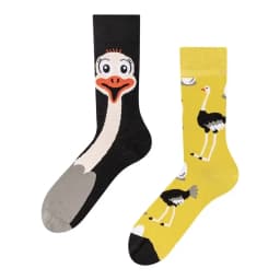 2024 Autumn 1 Pair Women Original AB Tide Socks Medium High Tube Colorful Socks Animal Flower Cotton Unisex Socks