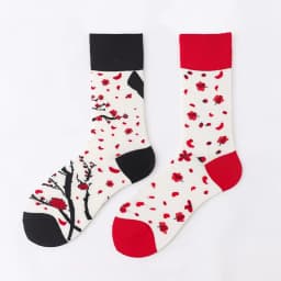2024 Autumn 1 Pair Women Original AB Tide Socks Medium High Tube Colorful Socks Animal Flower Cotton Unisex Socks