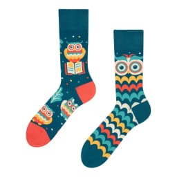 2024 Autumn 1 Pair Women Original AB Tide Socks Medium High Tube Colorful Socks Animal Flower Cotton Unisex Socks