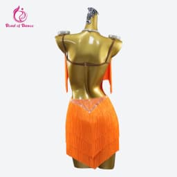2026 Latin Dance Dress Girls Costume Fringed Skirt Line Women's Clothes Samba Competition Ball Sports Suit Elegant Stage Cabaret