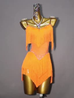 2026 Latin Dance Dress Girls Costume Fringed Skirt Line Women's Clothes Samba Competition Ball Sports Suit Elegant Stage Cabaret