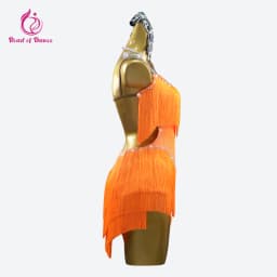2026 Latin Dance Dress Girls Costume Fringed Skirt Line Women's Clothes Samba Competition Ball Sports Suit Elegant Stage Cabaret