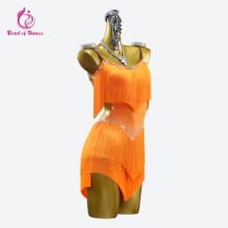 2026 Latin Dance Dress Girls Costume Fringed Skirt Line Women's Clothes Samba Competition Ball Sports Suit Elegant Stage Cabaret