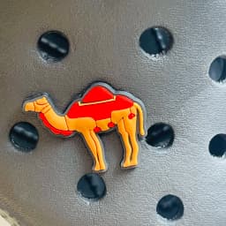 1-17PCS Saudi Arabia Style Orange Tang Camel Hand Shoe Charms Fit Wristbands Buckle Ornaments For Clogs Pins Kid Holiday Gift