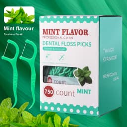 Mint Dental Floss Stick - Home Portable Disposable Care Dental Floss Stick - Oral Care - Deep Cleaning - Interdental Cleaning PR