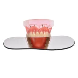 5 PCS/SET Dental Orthodontic Mirror Photography Double-Sided Mirrors Dental Tools Glass Material Dentistry Reflector Intra Oral