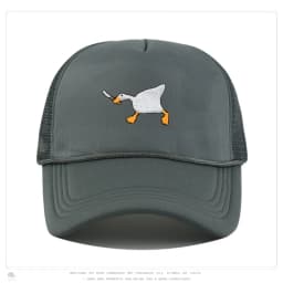 Embroidered baseball cap with goose pattern for men and women, casual and fashionable city style duckbill cap