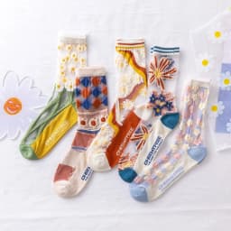 5 Pairs/Set France Hipster Design Glass Silk Floral Bird Funny Socks Women Transparent Art Ankle Socks Jacquard