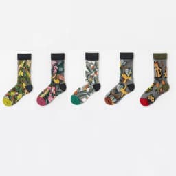 5 Pairs/Set France Hipster Design Glass Silk Floral Bird Funny Socks Women Transparent Art Ankle Socks Jacquard