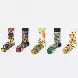 5 Pairs/Set France Hipster Design Glass Silk Floral Bird Funny Socks Women Transparent Art Ankle Socks Jacquard
