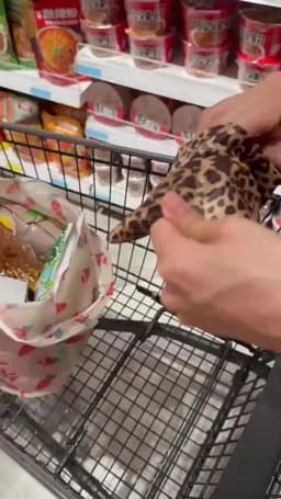 Women's Foldable Cat Flower Pattern Large Shopping Bag Washable Leopard Print Reusable Easy To Carry Capacity Handbags Pouch