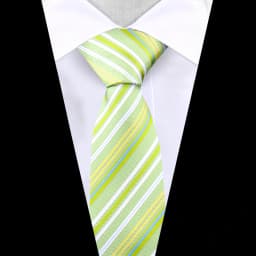 Fashion Tie For Men New Brand Stripe Necktie Newest Style Green Wine Gravata Men Paisley Floral Fit Wedding Workplace Dot Cravat