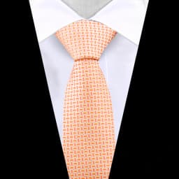 Fashion Tie For Men New Brand Stripe Necktie Newest Style Green Wine Gravata Men Paisley Floral Fit Wedding Workplace Dot Cravat