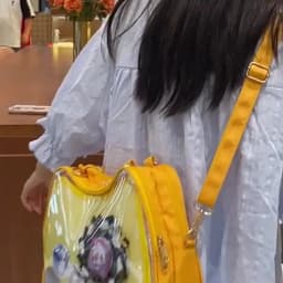 New Sweet Cute Cat Ita Bag Y2K Japanese Popular Crossbody Bags JK Uniform Shoulder Bag Girl Transparent Display Student Handbags