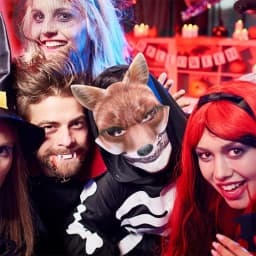 1/3/6PCS Half Face Halloween Mask Halloween Animal Mask Half Face Fox White Wolf Mask Animal Male and Female Half Face Masks
