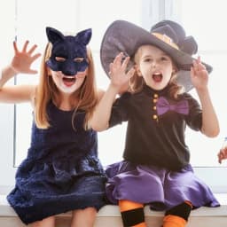 1/3/6PCS Half Face Halloween Mask Halloween Animal Mask Half Face Fox White Wolf Mask Animal Male and Female Half Face Masks
