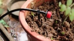 Micro Drip Irrigation System Portable 20M Automatic Watering with Adjustable Drippers Misting Watering Kits Garden Hose