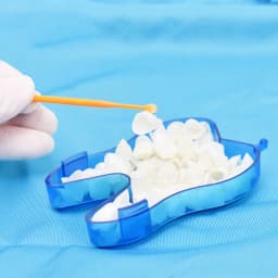 10pcs Dental Adhesive Tip Applicator for Tooth Crown Porcelain Veneer Disposable Health Care Dental Sticks Brush Dental Material