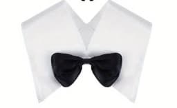 WomenCostume Set Black Bunny Ears Rabbit BowtieCuffs Tail Black Fishnet Stockings Suit Girls Accessory for EASTERCosplay Party