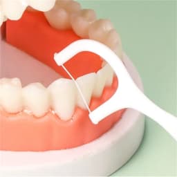 1/2/5/10 Box Portable Disposable Dental Floss Plastic Toothpick High-tension Dental Floss Stick Dental Floss Box Oral Care