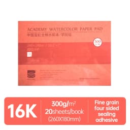 Baohong Academy Watercolor Book 100% Cotton Sketchbook 300g Drawing Paper 32K 16K 8K Papel Para Acuarela Painting Art Supplies