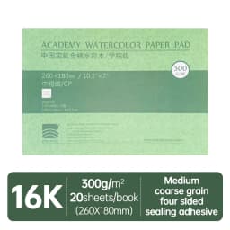 Baohong Academy Watercolor Book 100% Cotton Sketchbook 300g Drawing Paper 32K 16K 8K Papel Para Acuarela Painting Art Supplies