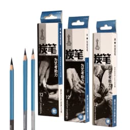 Master Specialized Sketch Charcoal, Hard, Neutral, Soft Refills, Drawing Pencils, Art Student Fine Arts Supplies 12 PCS Box