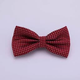 Dot Bowtie Dotted Men Bow Tie Polka Black White Blue Dots Mens Business Accessories Fashion Wedding Gravatas