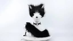 Faux Fur Fox Mask Wolf Cat Fluffy Tail and Leather Necklace Set Halloween Party Cosplay Costume Accessory