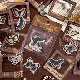 20 Pcs Per Lot Dual Material Specimen Atlas Series Material Pack Art Flower Butterfly Collage Material Paper Note 4 Options