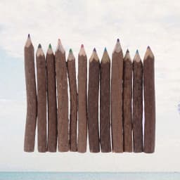 8 Pcs Colored Pencils Tree Branch Pencils Natural Wooden Pencils Bark Pencil School Supplies Craft Materials Twig Colored
