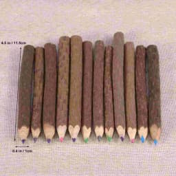 8 Pcs Colored Pencils Tree Branch Pencils Natural Wooden Pencils Bark Pencil School Supplies Craft Materials Twig Colored
