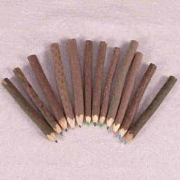 8 Pcs Colored Pencils Tree Branch Pencils Natural Wooden Pencils Bark Pencil School Supplies Craft Materials Twig Colored