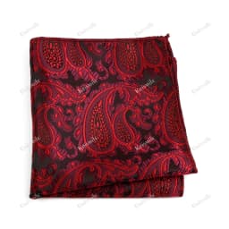 New Jacquard Paisley Pocket Square Classic Red Grey Blue 22cm Hankerchief Fit Business Wedding Party Stage Suit Hanky Gifts