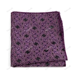 New Jacquard Paisley Pocket Square Classic Red Grey Blue 22cm Hankerchief Fit Business Wedding Party Stage Suit Hanky Gifts