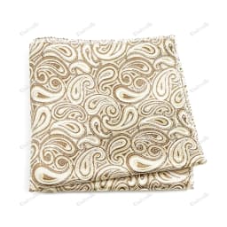 New Jacquard Paisley Pocket Square Classic Red Grey Blue 22cm Hankerchief Fit Business Wedding Party Stage Suit Hanky Gifts