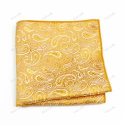 New Jacquard Paisley Pocket Square Classic Red Grey Blue 22cm Hankerchief Fit Business Wedding Party Stage Suit Hanky Gifts