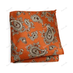 New Jacquard Paisley Pocket Square Classic Red Grey Blue 22cm Hankerchief Fit Business Wedding Party Stage Suit Hanky Gifts