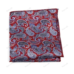 New Jacquard Paisley Pocket Square Classic Red Grey Blue 22cm Hankerchief Fit Business Wedding Party Stage Suit Hanky Gifts