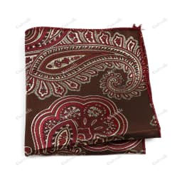 New Jacquard Paisley Pocket Square Classic Red Grey Blue 22cm Hankerchief Fit Business Wedding Party Stage Suit Hanky Gifts